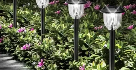 solar-path-lights