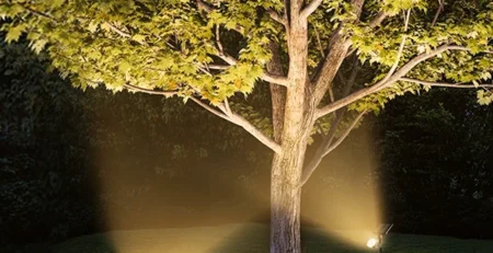 solar powered tree spotlights