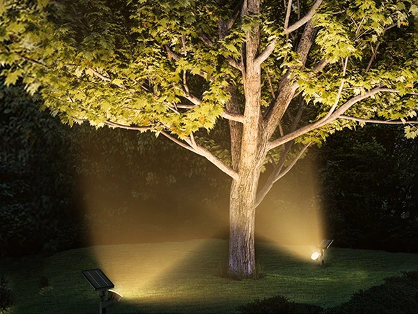 solar powered tree spotlights
